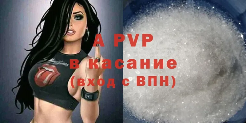 A-PVP СК  Саранск 