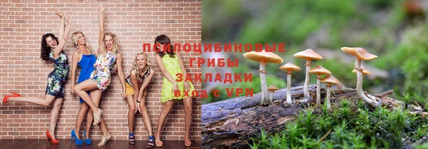 apvp Лиски