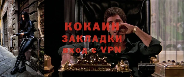 apvp Лиски