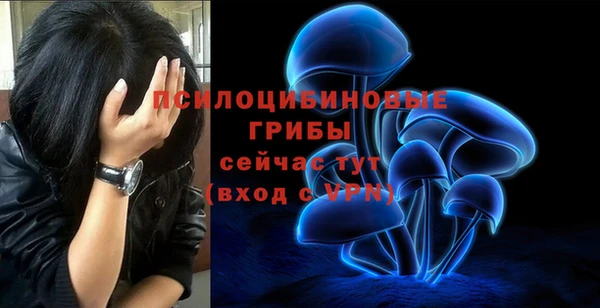 apvp Лиски
