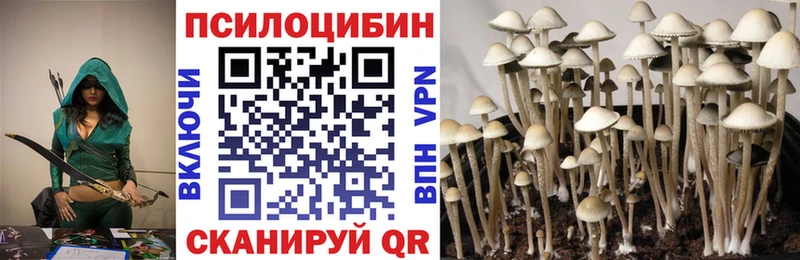 Галлюциногенные грибы прущие грибы Саранск