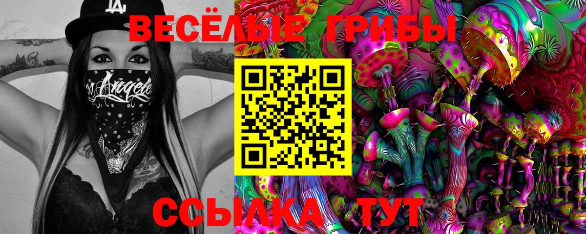 Саранск  Галлюциногенные грибы мицелий  Вход с VPN 