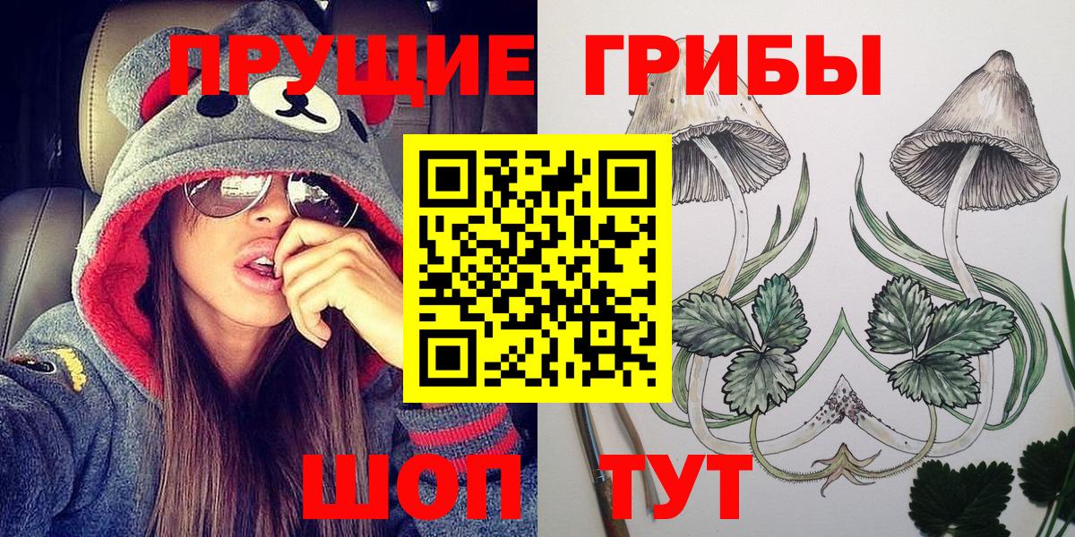 Галлюциногенные грибы Psilocybe Саранск