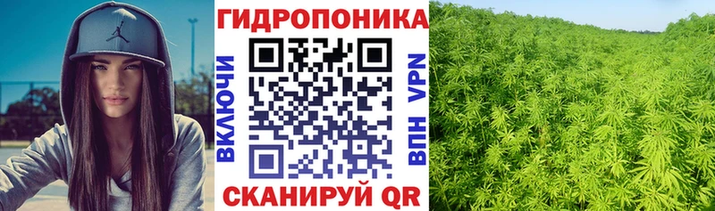 Марихуана сатива купить наркоту Саранск