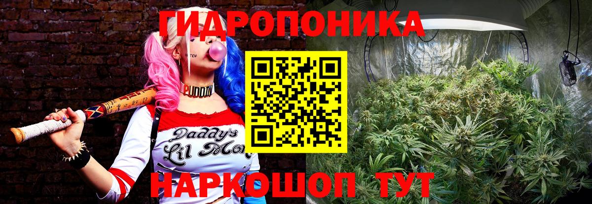 МАРИХУАНА семена Саранск